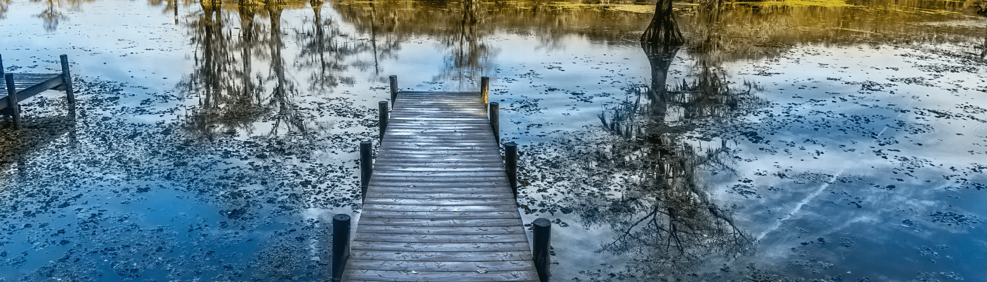 Image of Caddo Lake pier in texas