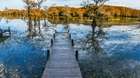 Image of Caddo Lake pier in texas